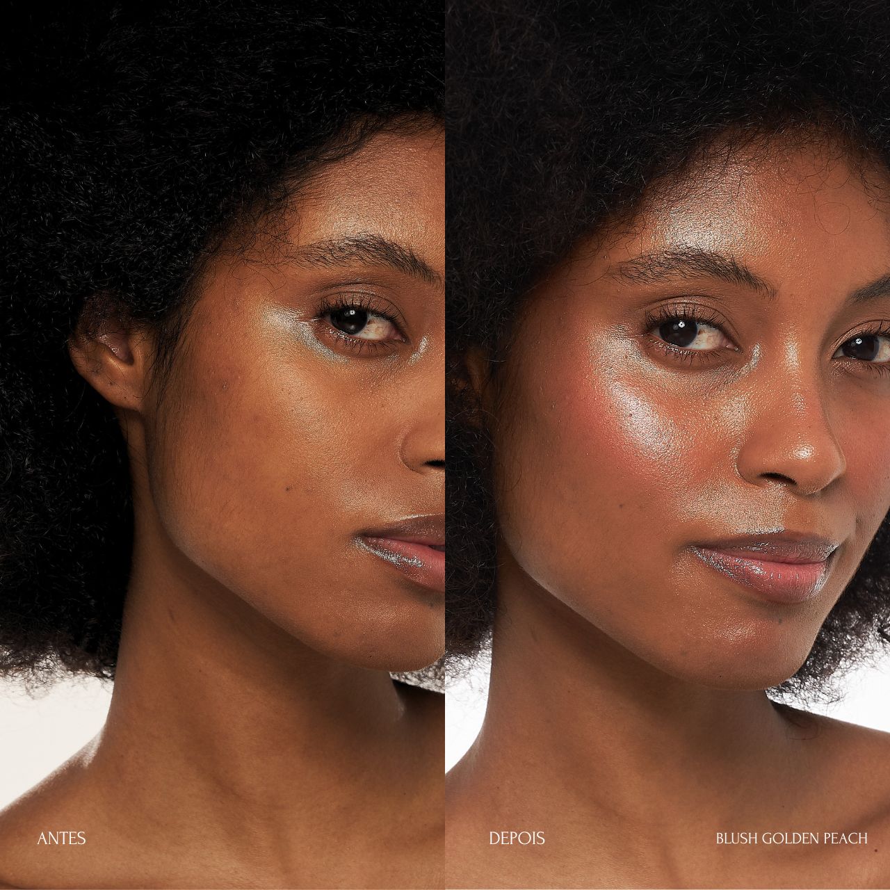 Build Your BLUSH + HIGHLIGHTER Kit